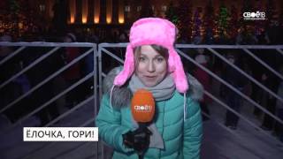Ёлочка, гори!