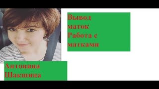 Пчеловодство.Антонина Шакшина. & strains of bees, bee queens conclusion.