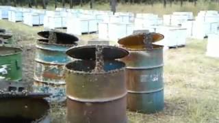 2009. Georgiabees. Закормка пчел 200-литровыми бочками
