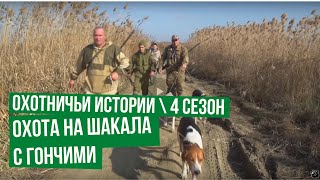 Охотничьи истории. Сезон 4. Охота на шакала с гончими