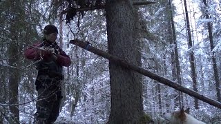 На промысле пушного зверя.  Часть 1.