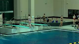 2020 MVC Swimming & Diving Championship | Prelims | February 20