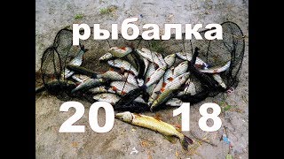 Рыбалка 2018. Открытие сезона.  Голавль на крючок самоподсекатель