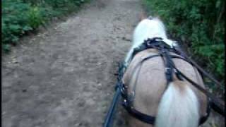 Dixie's First Drive