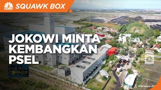 Jokowi Minta Kepala Daerah Tak Ragu Kembangkan PSEL