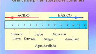 T2   El agua y las sales minerales