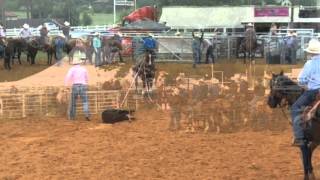 Tyson Durfey- Calf Horse Bo
