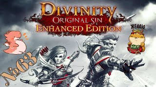 Прохождение Divinity Original Sin Enhanced Edition Серия 63 "Начинаем зачистку города"