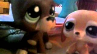 LPS:A brother and a sister- secret agents ep#3 (in romana)