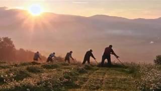 Времена года. Seasons. BelSound Orchestra