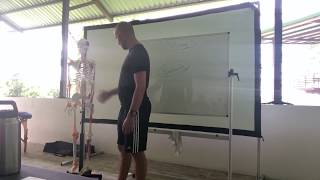 Ribcage Mechanics 101 Preview