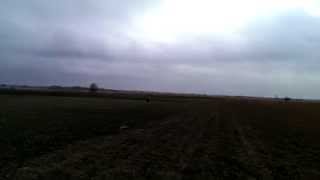 44й полет Новый двигатель на Align t-rex 700e v2