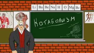 Виталий Пропионат - Катаболизм