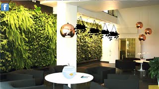 Plant furnishing house escape soluce