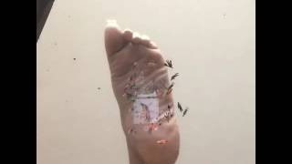 giantess curvydreamz2 bare foot stomp little men