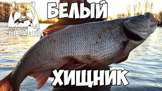 Русская Рыбалка 4 - Миссия невыполнима? Ловим жереха!