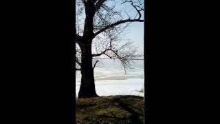 пробное видео))) поняла что надо привыкать снимать горизонтально))