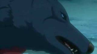 The cruxshadows - Deception AMV[Wolf's Rain]