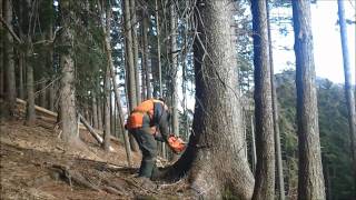 Chainsaw Expert 2