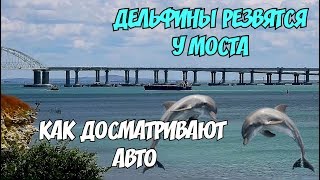 Крымский мост(30.06.2019)ДОСМОТР машины КАК ЭТО ПРОИСХОДИТ ДЕЛЬФИНЫ у МОСТА Состав ХОПЕРОВ