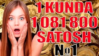 1 Kunda 1 0810 800 satosh ishlash usuli !