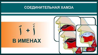 Айман Сувейд. 11. Соединительная хамза: СОЕДИНИТЕЛЬНАЯ + РАЗДЕЛИТЕЛЬНАЯ (в именах) (с субтитрами)