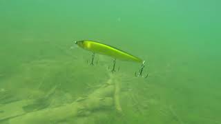 Megabass Kanata Игра воблера в воде