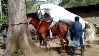 boticario cubriendo a yara