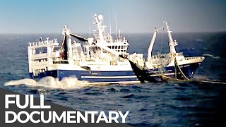 Exploitation of the Arctic: The End of Fishing? | Ice Race