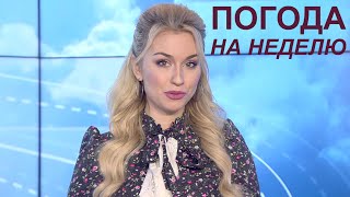 Мороз в мае? Прогноз погоды с 3 по 9 мая 2021. Погода на неделю