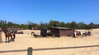 Les cow-boys et les indiens (La mer de sable)