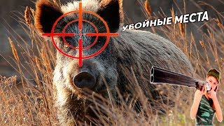 КУДА СТРЕЛЯТЬ В КАБАНА? САМЫЕ УБОЙНЫЕ МЕСТА