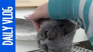 KOCIE ŁZY