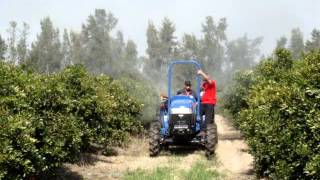 Foton lovol tractor  spraying in the orchard of Chile