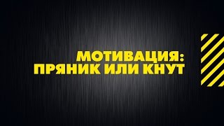 Мотивация: пряник или кнут. Жесткий менеджмент. Видеотренинг