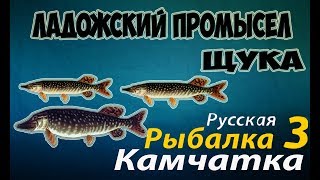 Русская Рыбалка 3.99 —Ладожский промысел (Щуки)
