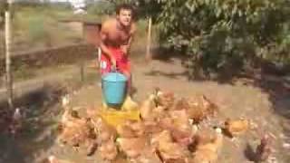 L_uomo_che_sussurrava_alle_galline
