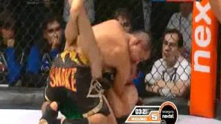 Cobrinha vs Snake-rd5