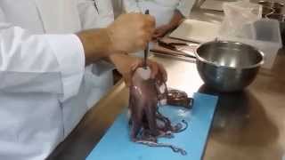 Limpeza e preparo do polvo para preparação de ceviche