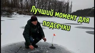 Когда подсекать щуку при ловле на жерлицы? Правильная подсечка