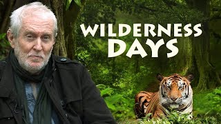 Wilderness Days - Concept Promo - Tom Alter