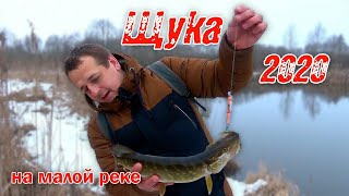 Ловля щуки зимой на малой реке. Рыбалка 2020!! Зимний спиннинг в феврале. Щука 2020.