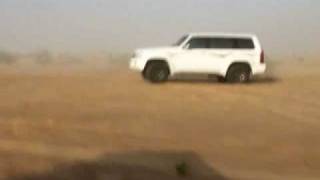 فتكات فالبر