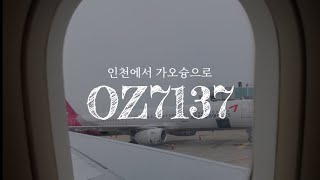 가오슝가는 아시아나 OZ7137 이코노미 탑승기 (A321-100/200)