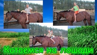 Катаемся на лошади, смотрим овец, хрюшек и т.д. (08.17г.) Семья Бровченко.
