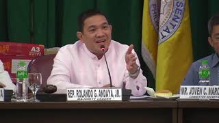 Andaya scolds auditor over ‘mind boggling’ deals of construction firm