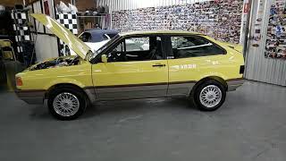 Amarelo sunny