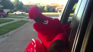 Geico Piggy Commerical Parody Arkansas Vs. Texas A&M 2011