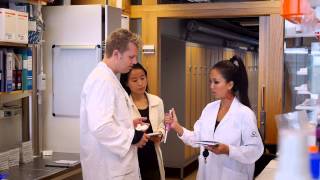 Challenges to diabetes research in Sweden