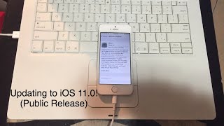 Updating to iOS 11.0! (Public Release)